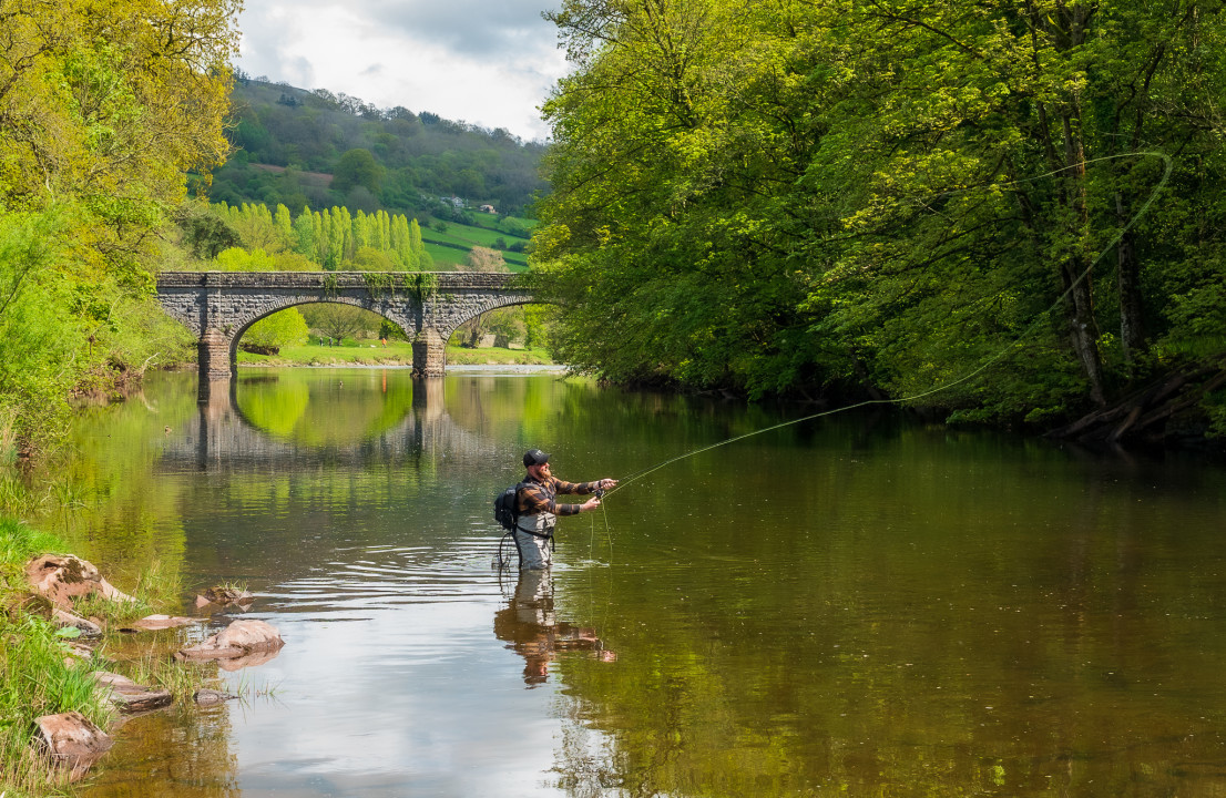 Glanusk Estate - KM from Hereford